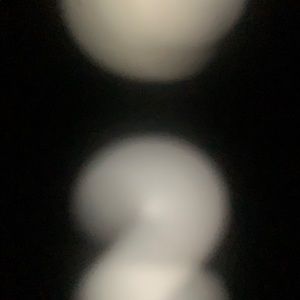 Meet your Posher, Adelina